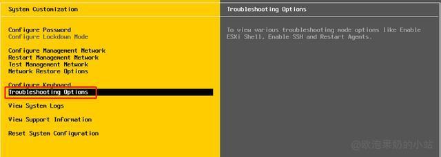 Troubleshooting Options